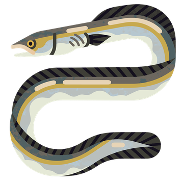 Eel Conger M 960.png