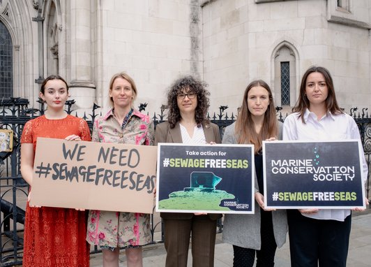 5 members of the Marine Conservation Society team standing outside Royal courts of Justice, holding signs that read 'Sewage Free Seas'. Sandy Luk, the CEO stands in the middle.