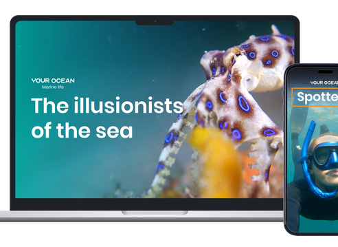 A laptop screen showing an article called "illusionists of sea" from Your Ocean members magazine