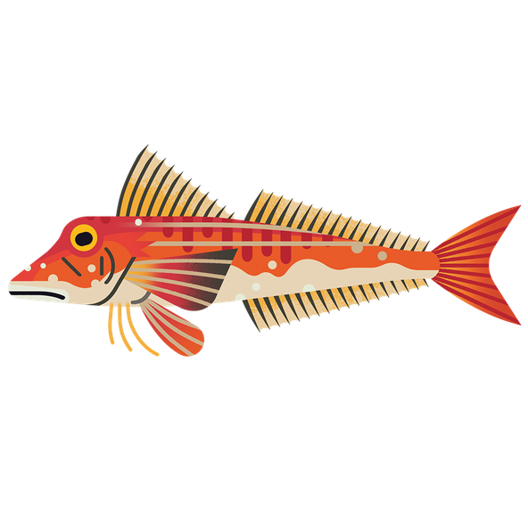Gurnard Red M 960.png