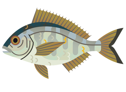Bream Black M 960.png