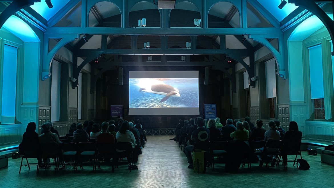 A hall in darkness with a number of people sitting on chairs facing a screen. On the screen is an orca.