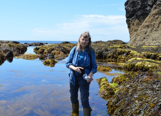 Professor Juliet Brodie standing in a rocky tidal pool with seaweed.
