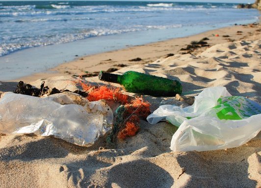 litter, specifically plastic bottles and plastic bags, polluting a sandy beach and shoreline.