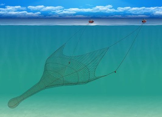 A boat is towing a large net through mid-water