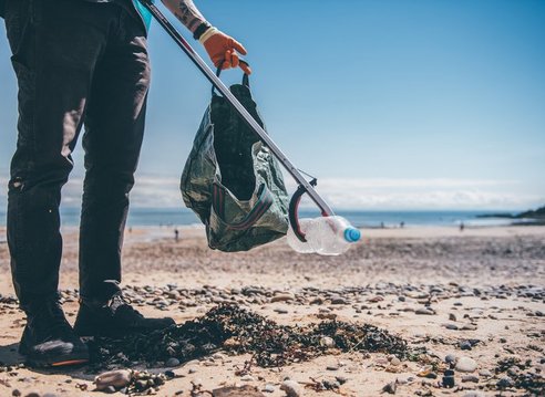 a beach cleanup