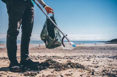 a beach cleanup