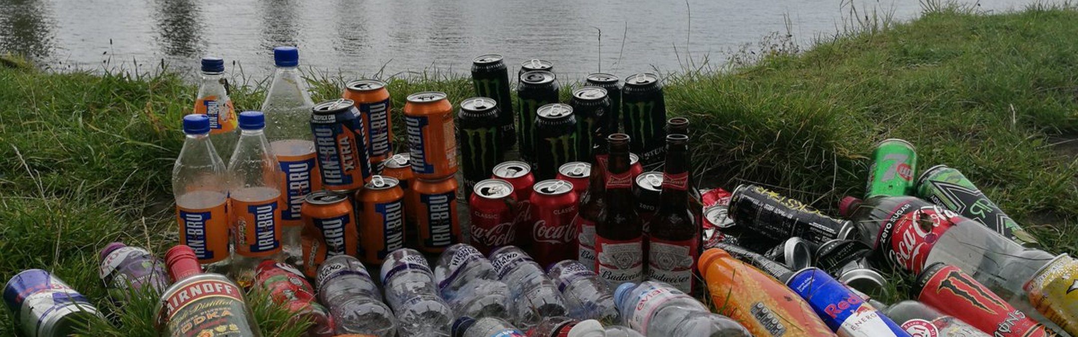 a large accumulation of litter