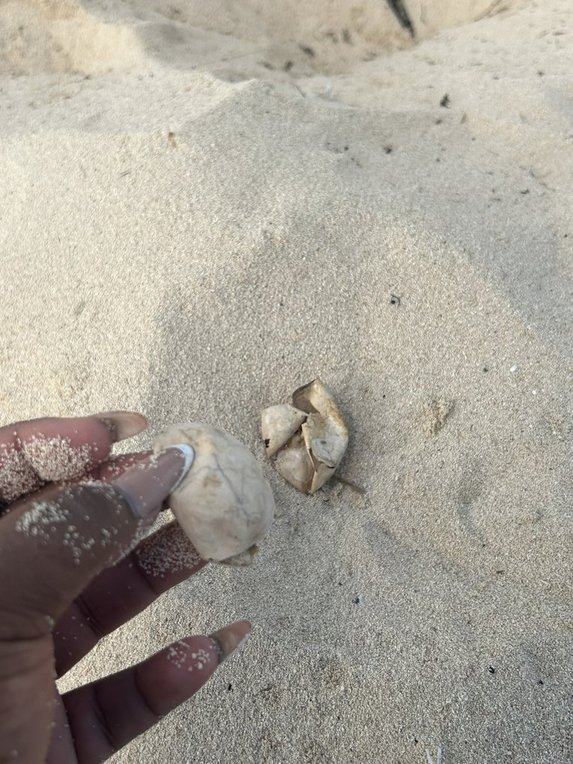 From Oxford to East Caicos: A journey of passion, resilience, and ...