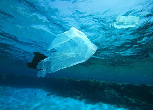 An underwater photo of 3 plastic bags floating in the ocean.