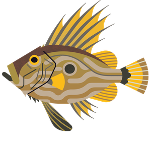 John Dory