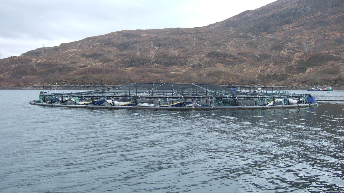 A ringed off area of water can be seen from the side, it's a salmon farm. In the background are brown hills.