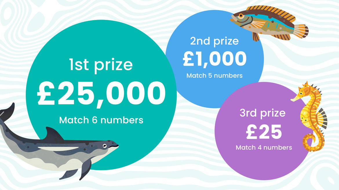 An ocean-themed lottery prize infographic set against a pale blue wavy background. Three colorful bubbles list the prizes. It reads: 1st prize - £25,000 Match 6 numbers, 2nd prize - £1,000 Match 5 numbers, 3rd prize - £25 Match 4 numbers