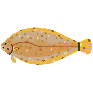Sand sole