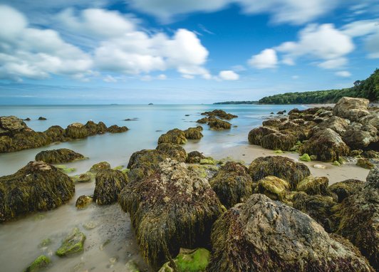 a rocky coastline at Priory Bay, Isle of Wight, with moss-covered boulders in the shallow, calm water during the daytime under a blue sky with white clouds. A wooded area lines the right side of the beach.