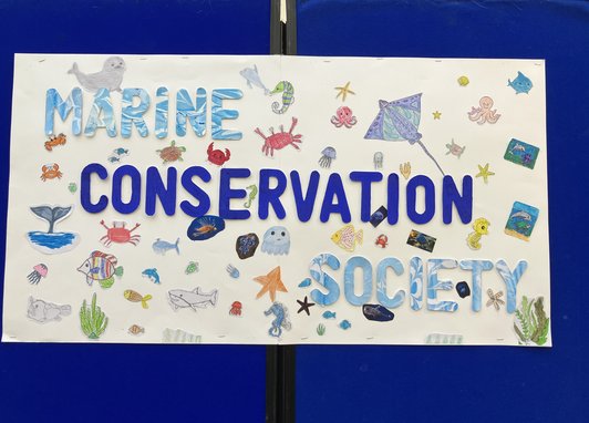 A poster that reads Marine Conservation Society. The poster also includes lots of ilustrations of sea animals around the words. The poseter is in front of a navy blue background.