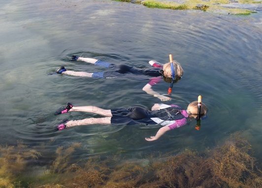 Children snorkeling in a rockpool