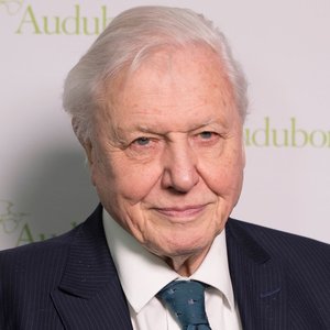 A close up of Sir David Attenborough, he is smiling against a plain background and wearing a suit at what looks like an awards event.