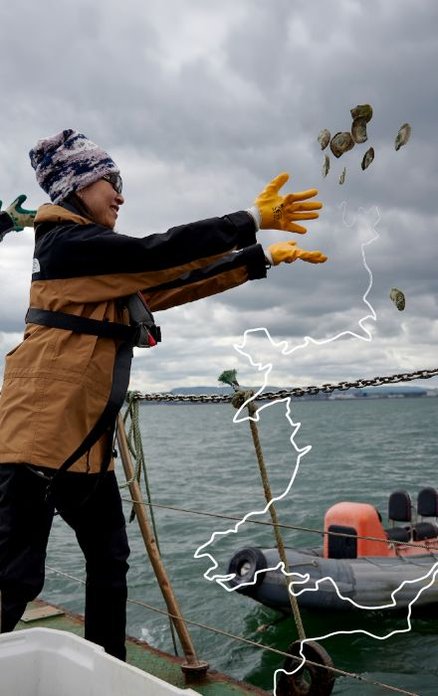 A female in a grey and yellow coat and bobble hat is standing on a boat. Her arms are outstretched as she throws native oysters into the water. Overlaid on top of the image is a white line outline of the shape of the Atlantic Coast.
