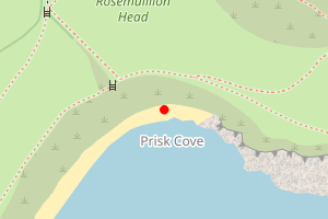 Map showing Prisk Cove