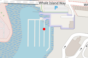 Map showing Whale Island Beach